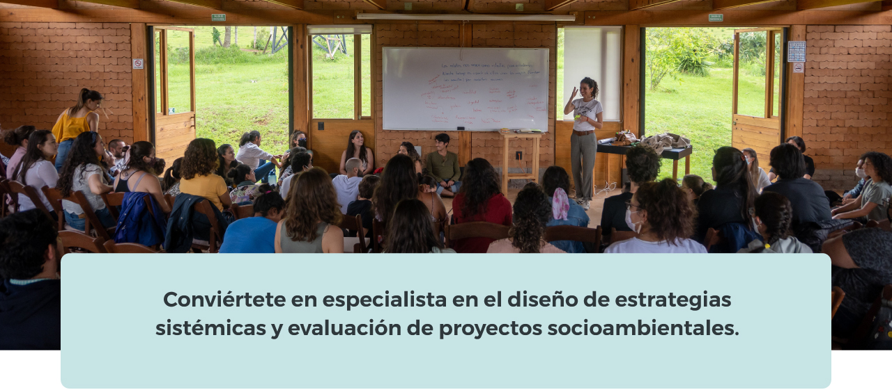 Evaluación Sistémica de Proyectos